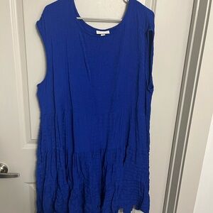 Knox Rose Blue Sleeveless Tunic with V-Neckline